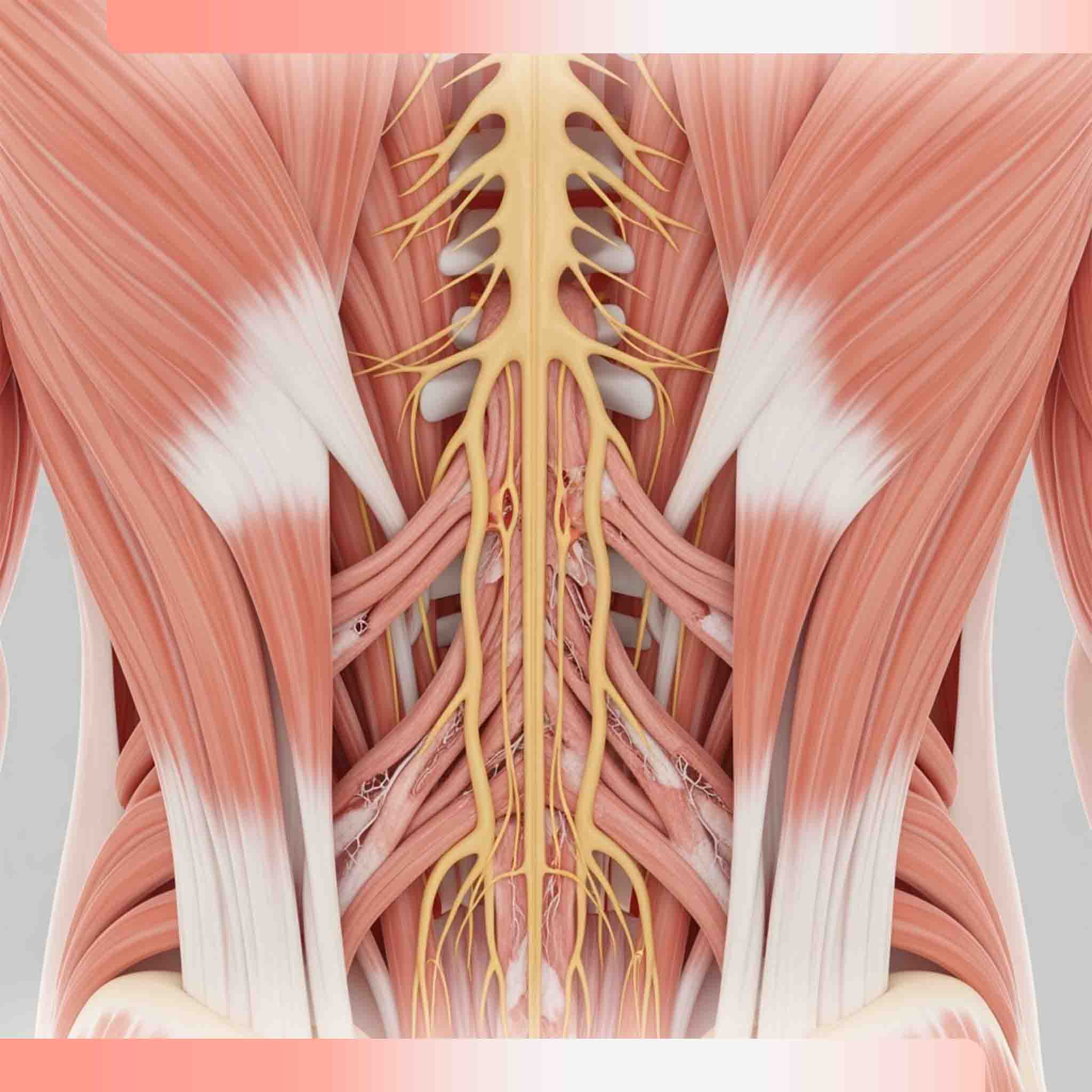 Ein Mann mit Morbus Crohn